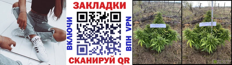 Какие есть наркотики Ардатов ГАШИШ  Амфетамин  Мефедрон  Каннабис  COCAIN 