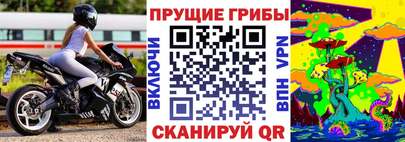 Галлюциногенные грибы Psilocybe  купить наркоту  Ардатов 
